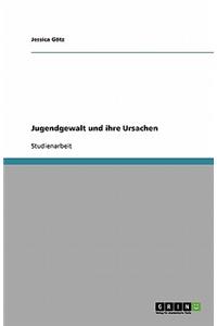 Jugendgewalt Und Ihre Ursachen