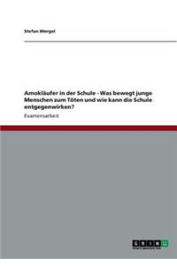 Amokläufer in der Schule - Was bewegt junge Menschen zum Töten und wie kann die Schule entgegenwirken?