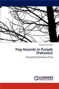 Fog Hazards in Punjab (Pakistan)