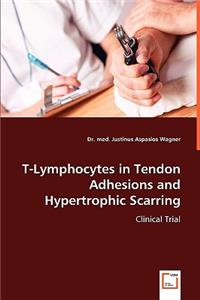 T-Lymphocytes in Tendon Adhesions and Hypertrophic Scarring