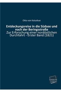 Entdeckungsreise in Die Sudsee Und Nach Der Beringsstrasse