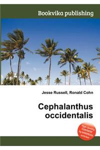 Cephalanthus Occidentalis
