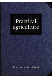 Practical Agriculture