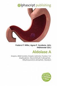 Aldolase a
