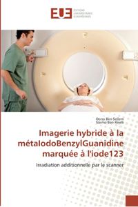 Imagerie hybride à la métaIodoBenzylGuanidine marquée à l'iode123