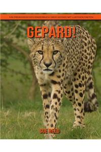 Gepard! Ein pädagogisches Kinderbuch über Gepard mit lustigen Fakten