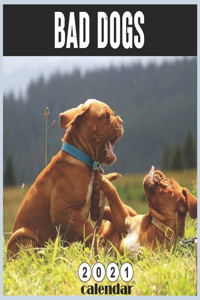 Bad Dogs 2021 calendar