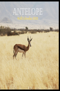 Antelope Wall Calendar 2021