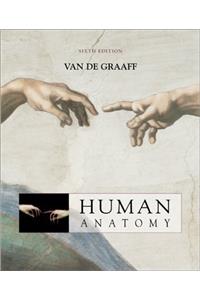 Human Anatomy