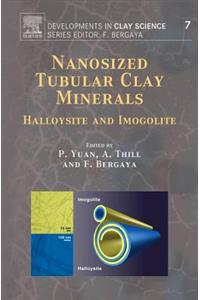 Nanosized Tubular Clay Minerals