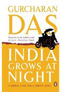 India Grows at Night