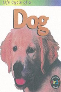 Dog (Life Cycles)