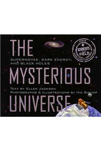 The Mysterious Universe