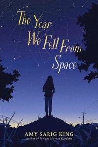 The Year We Fell From Space