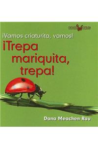 ¡Trepa Mariquita, Trepa! (Crawl, Ladybug, Crawl!)