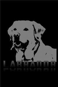 Labrador