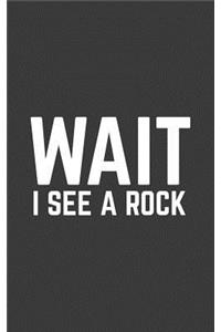 Wait I See A Rock