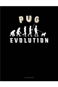 Pug Evolution