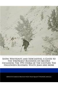 Snow, Whiteouts and Nor'easters