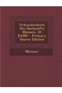 Urkundenbuch Des Hochstifts Meissen, III Band - Primary Source Edition