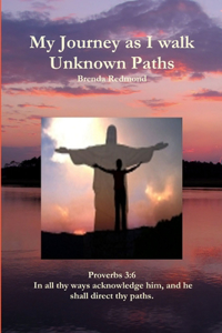 My Journey as I walk Unknown Paths