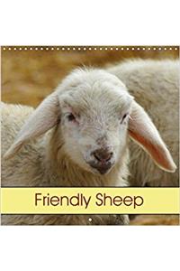 Friendly Sheep 2018