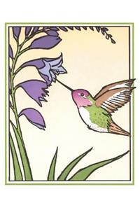 Anna's Hummingbird (Boxed)
