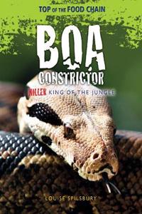 Boa Constrictor