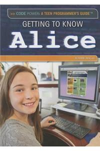 Getting to Know Alice