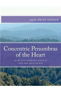 Concentric Penumbras of the Heart