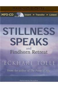 Stillness Speaks and the Findhorn Retreat