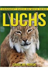 Luchs