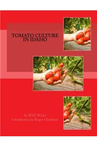 Tomato Culture in Idaho