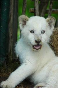 An Oh So Cute White Lion Cub Baby Animal Journal