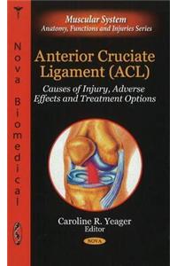 Anterior Cruciate Ligament (ACL)