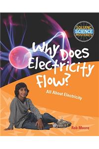 Why Does Electricity Flow?