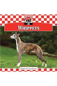 Whippets