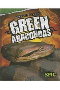 Green Anacondas