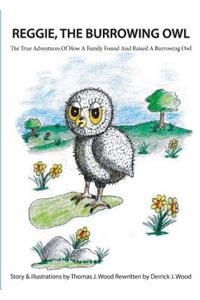 Reggie the Burrowing Owl