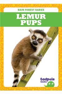 Lemur Pups