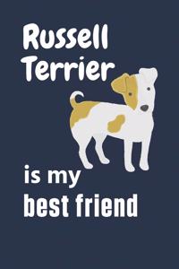 Russell Terrier is my best friend