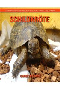 Schildkröte