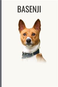 Basenji