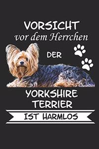 Vorsicht vor dem Herrchen der Yorkshire Terrier ist Harmlos