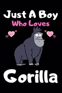 Just a boy who loves gorilla