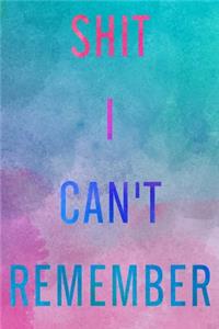 Shit I Can't Remember
