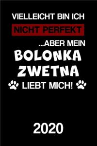 Bolonka Zwetna 2020