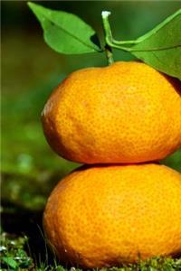 Two Stacked Tangerines Journal