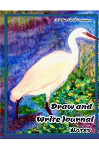 Draw and Write Journal Notes