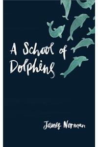 A School of Dolphins